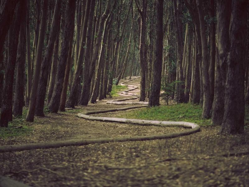 Building a Lead Generation Funnel with AI Automation